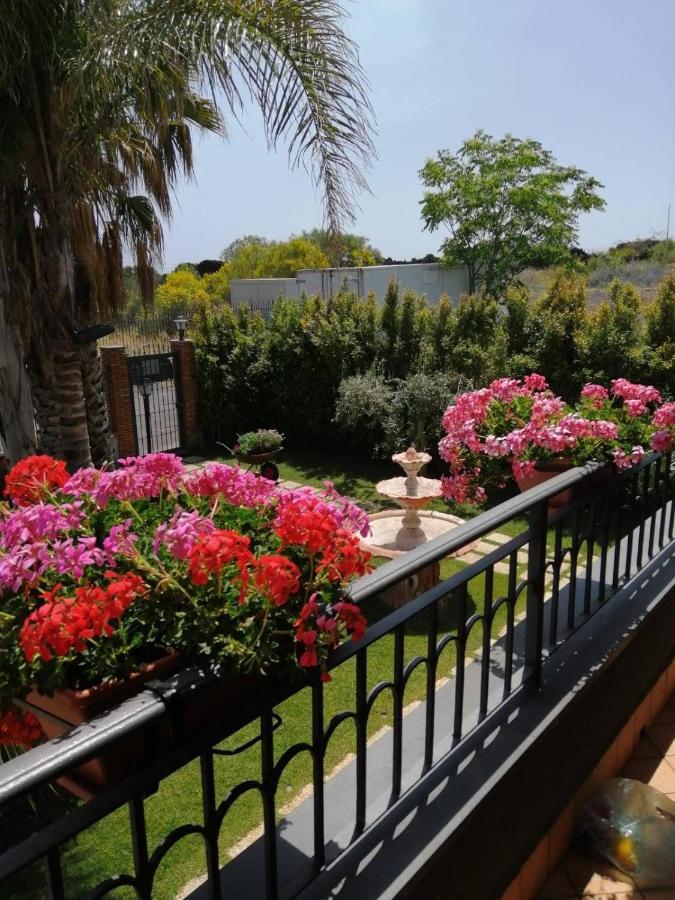 B&B Villa Salome' San Pietro Clarenza Eksteriør billede